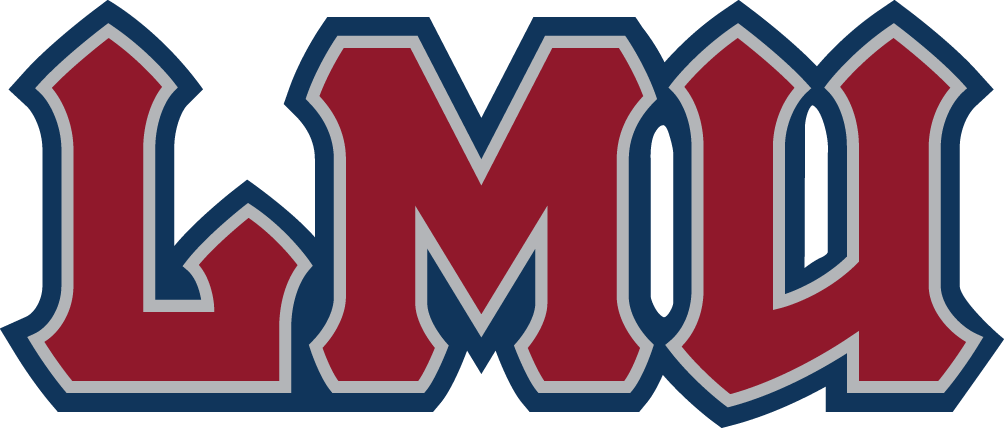 Loyola Marymount Lions 2008-2018 Wordmark Logo diy DTF decal sticker